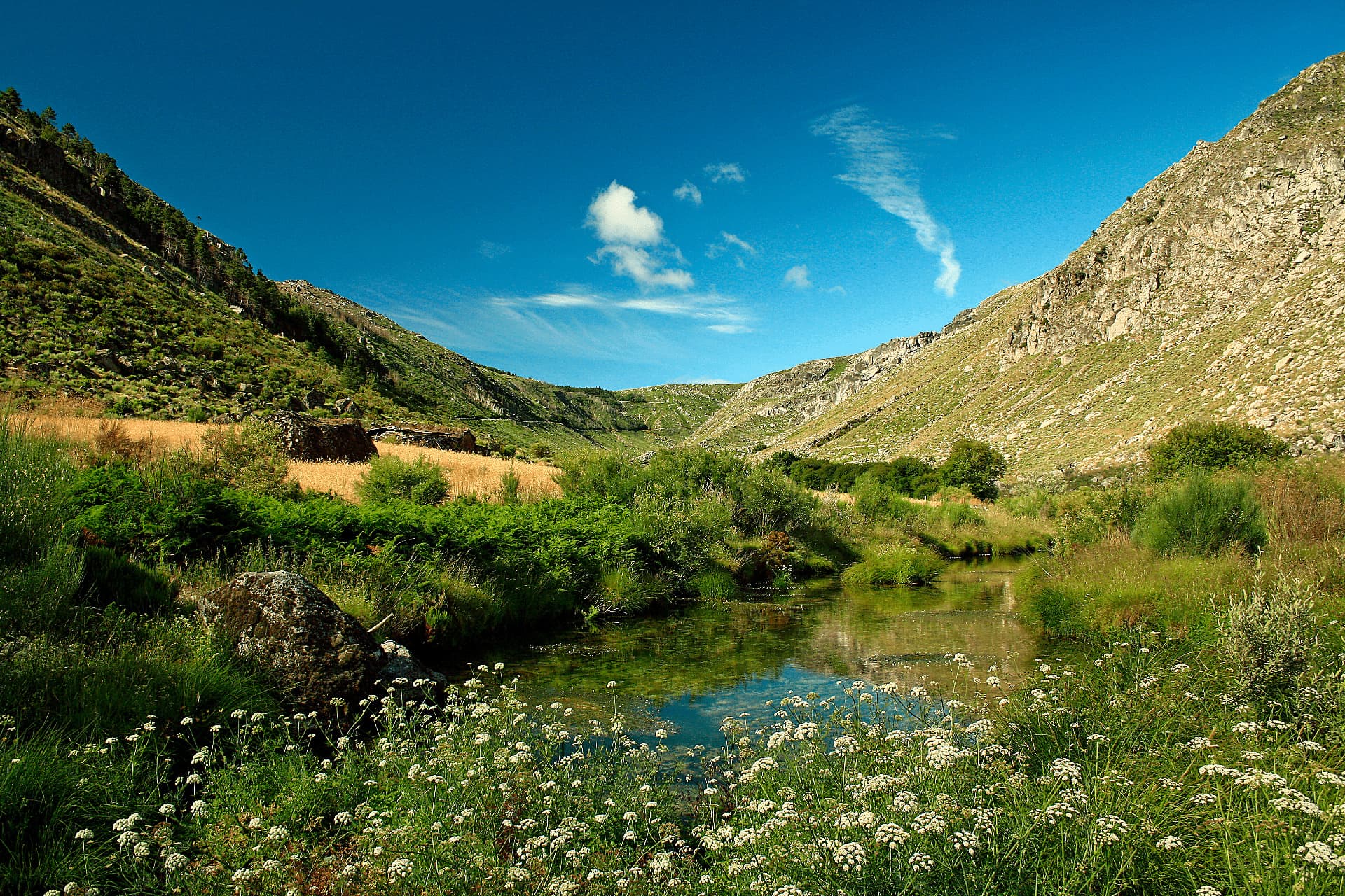 Estrela Road Challenge 3